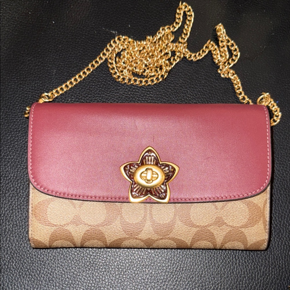 Gorgeous 4 In 1 Coach Signature Chain Crossbody Daisy Turnlock